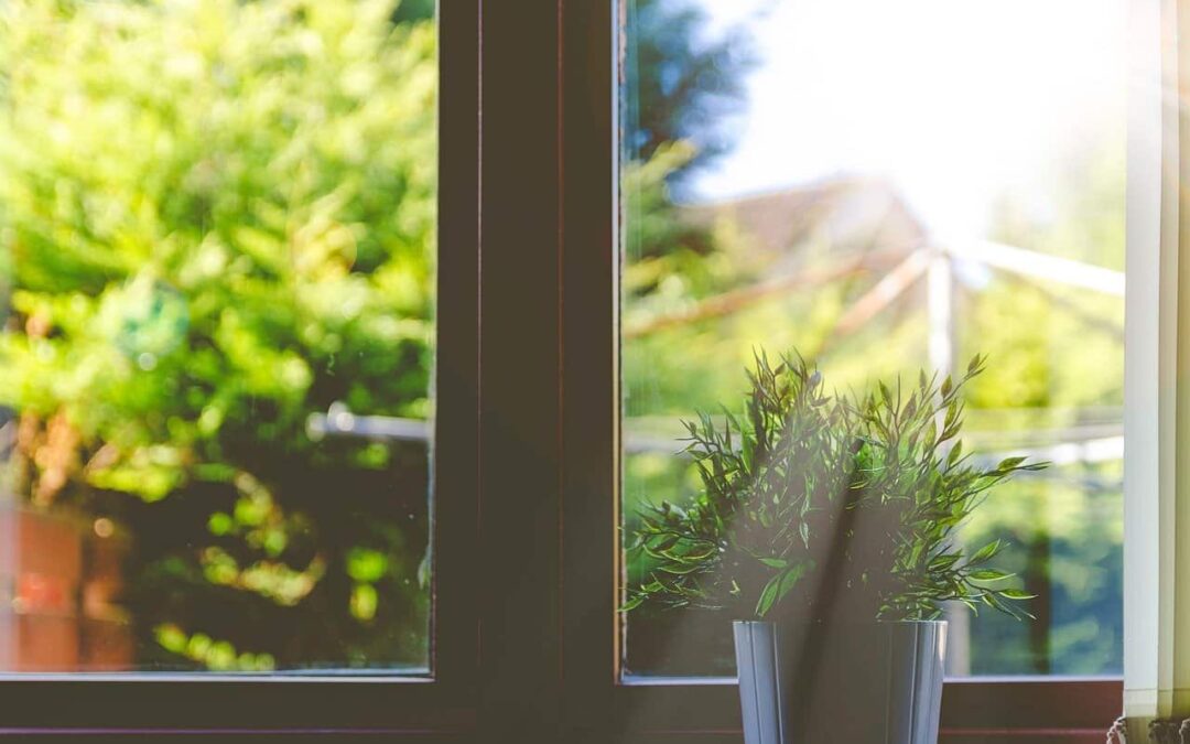 Calefacción Ecológica: ¿Cuál es más ecológica?