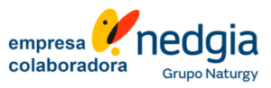 gas-natural-logo-300x98
